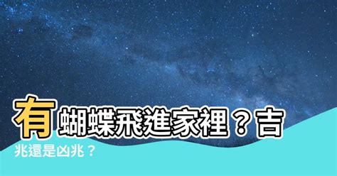 蝴蝶進家裡|【蝴蝶飛進家裏】驚！蝴蝶飛進家裡，原來是天大的吉兆，別不識。